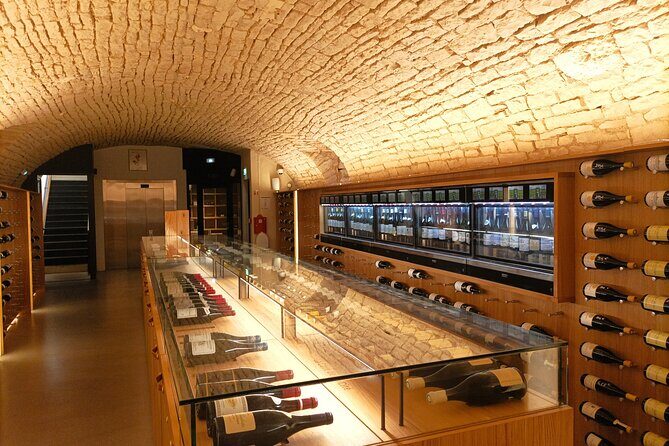 Dijon guided tour with wine tasting included ! - A Closer Look at the Dijon Tour Experience