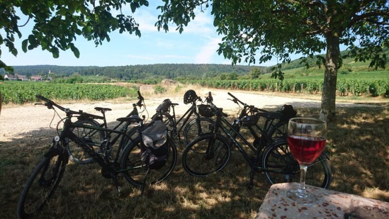 Dijon: Half-Day Guided Gourmet Bike Tour - Dijon: Half-Day Guided Gourmet Bike Tour — A Practical Look