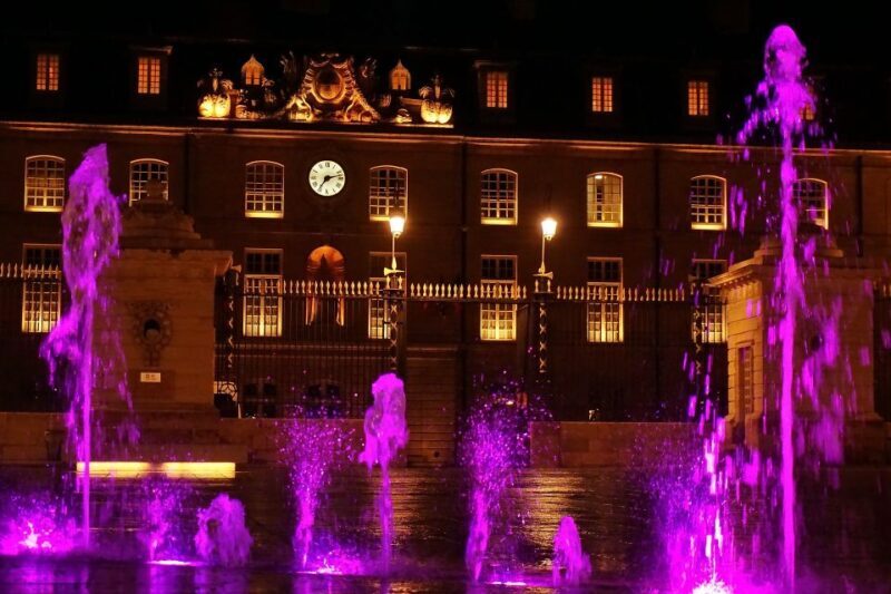 Dijon: Historic Guided Walking Tour - The Historic Squares of Dijon