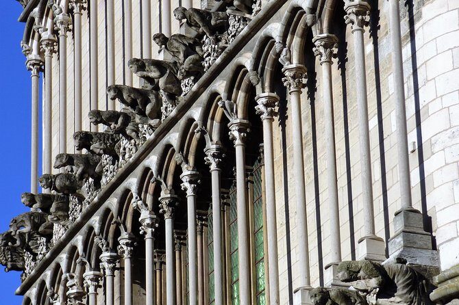 Dijon - Historic Guided Walking Tour - Who Will Appreciate This Tour?
