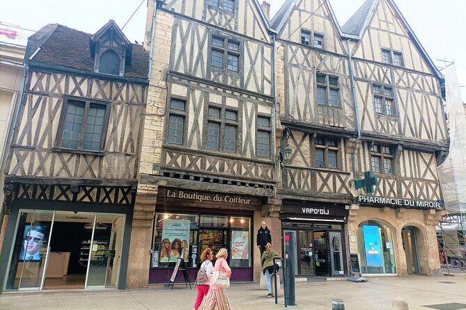 Dijon private guided tour with a professional tour guide ! - Practical Details and What to Expect