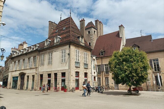 Dijon private guided tour with a professional tour guide ! - FAQ