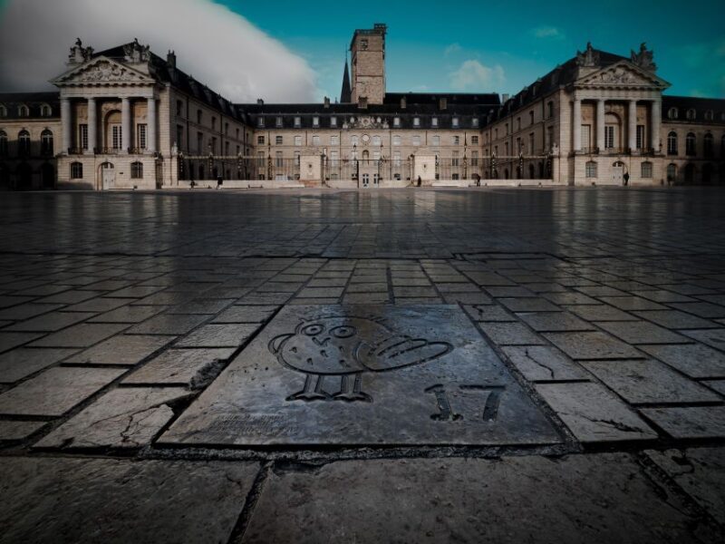 Dijon: Private Walking Tour  Discover History & Heritage - Practicalities and What Travelers Should Know