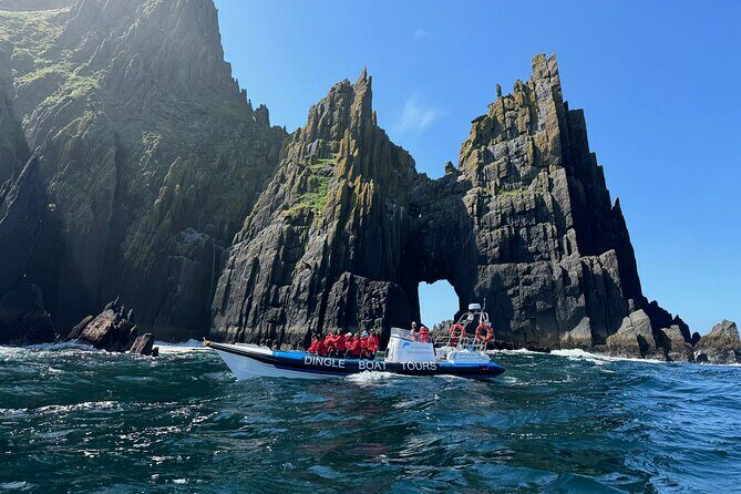 Dingle Boat Tours RIB Adventure Private - Dingle Boat Tours RIB Adventure Private: An Exciting Marine Experience in Ireland