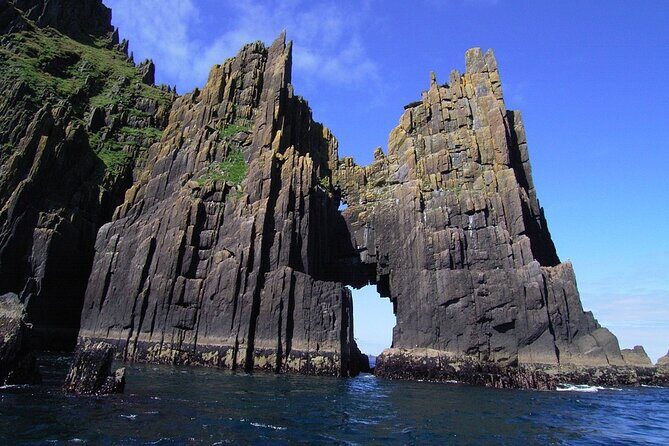 Dingle Boat Tours Wildlife RIB Adventure - The Value & Why Travelers Love It