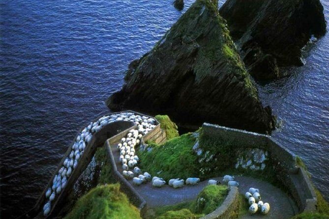 Dingle Peninsula Day Tour from Killarney: Including The Wild Altanic Way - The Experience: What’s Included and What’s Not