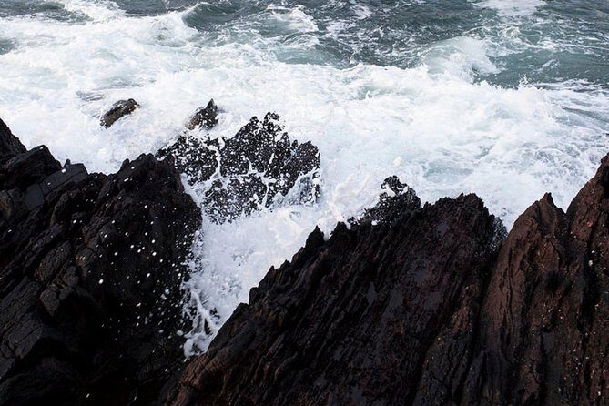 Dingle Peninsula Day Tour from Killarney: Including The Wild Altanic Way - The Sum Up