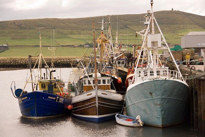 Dingle Peninsula Day Tour from Limerick: Including The Wild Altanic Way - An In-Depth Look at the Dingle Peninsula Day Tour
