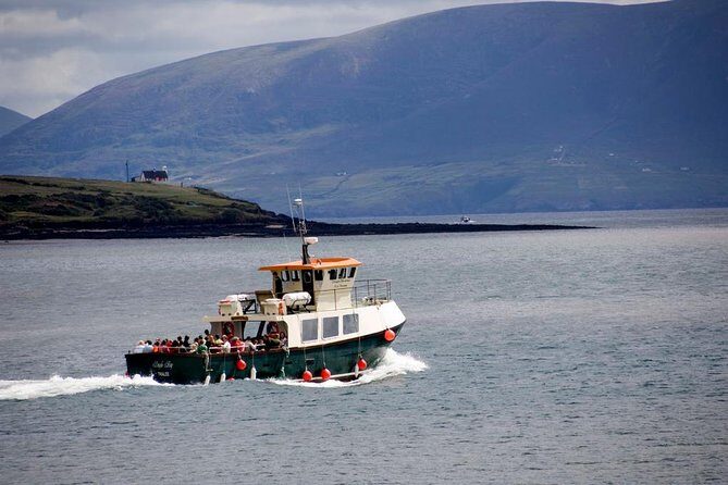Dingle Peninsula Day Tour from Limerick: Including The Wild Altanic Way - The Sum Up