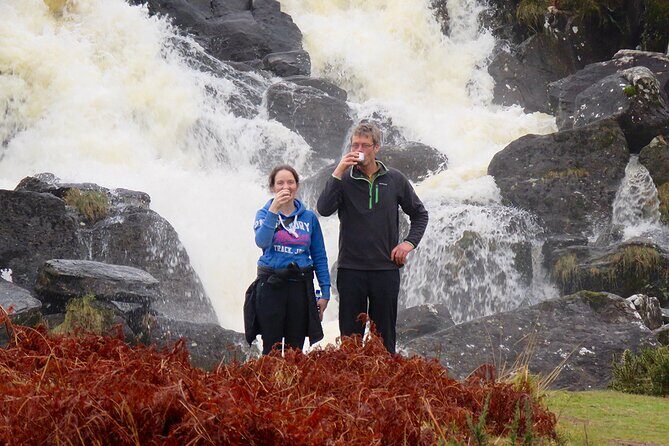 Dingle Peninsula Guided Walking Tour - An In-Depth Look at the Dingle Peninsula Guided Walking Tour