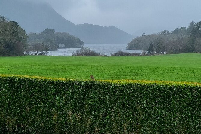 Dingle Peninsula Private Minibus Day Tour of the Fields of Gold - The Sum Up
