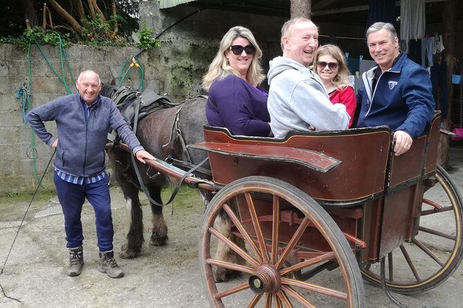 Dingle Town & Peninsula Private Chauffeur Driven Day Tour From Killarney Luxury - Who Should Consider This Tour?