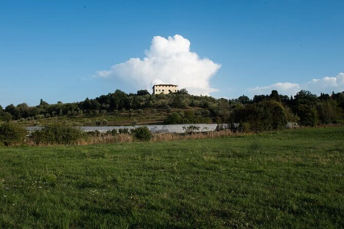 Dining Experience in a 13th-Century Monastery in Florence - A Deep Dive into the Florence Monastery Dining Experience