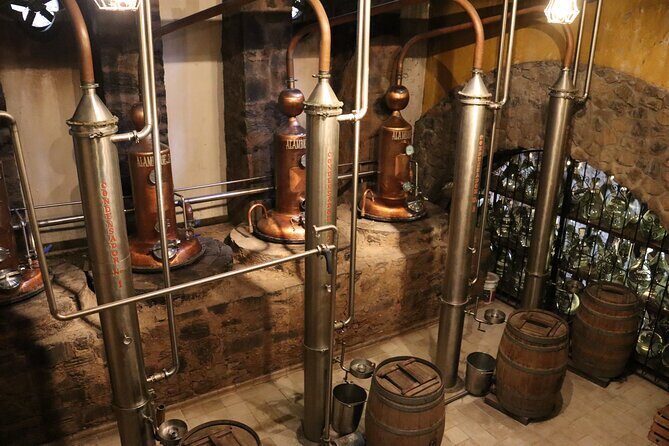 Dinner and Party in Amatitán Tequila and Tradition and Music - Key Points