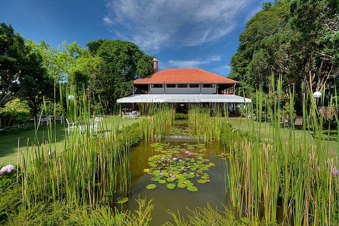 Dinner at Penang Hill Including Train Ride - Who Will Love This Tour?
