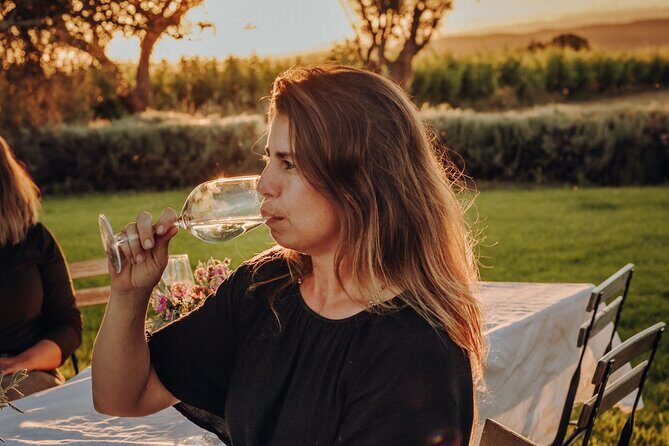 Dinner at the Vineyards in Lagoa - Key Points