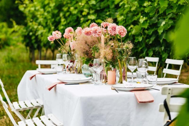Dinner in the vineyard French Riviera - Key Points