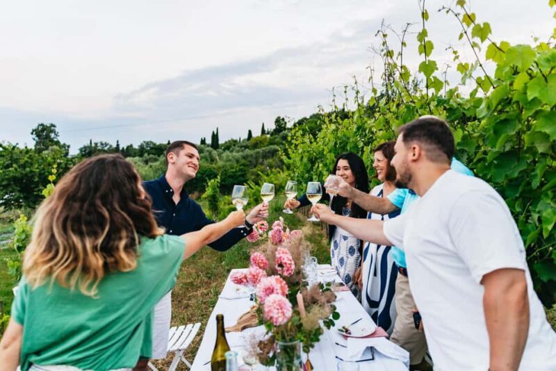 Dinner in the vineyard French Riviera - An Inside Look at the Experience