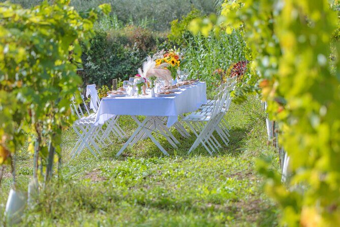 Dinner in the Vineyard French Riviera - Final Thoughts