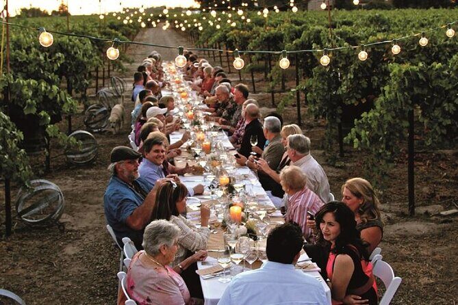 Dinner in the Vineyards - A Detailed Look at the Experience