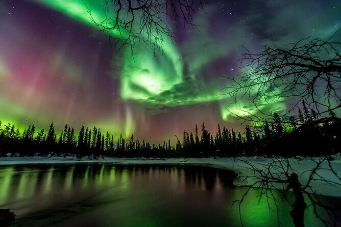 Dinner with Northern Light hunt in Rovaniemi - Practical Considerations
