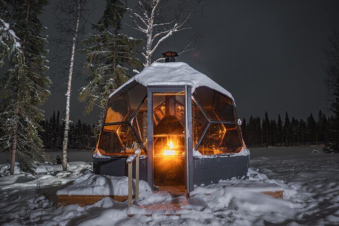 Dinner with Northern Light hunt in Rovaniemi - Who Should Consider This Tour?
