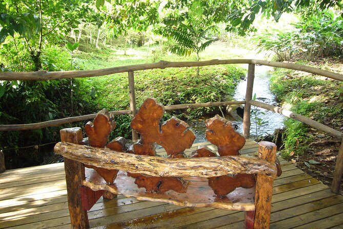 Dino Park & Blue River Resort in Rincon de la Vieja from Liberia - The Practicalities: What You Need to Know