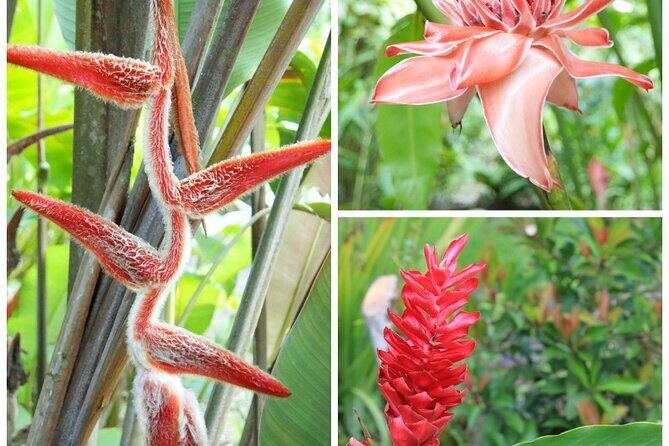 Dino Park & Blue River Resort in Rincon de la Vieja from Liberia - The Sum Up