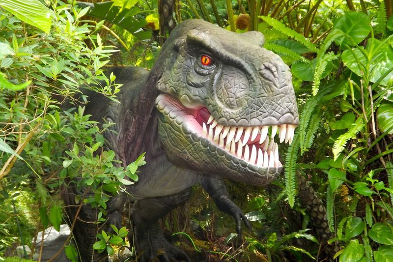 Dino Park Yanbaru Subtropical Forest Ticket in Okinawa - What to know before you go