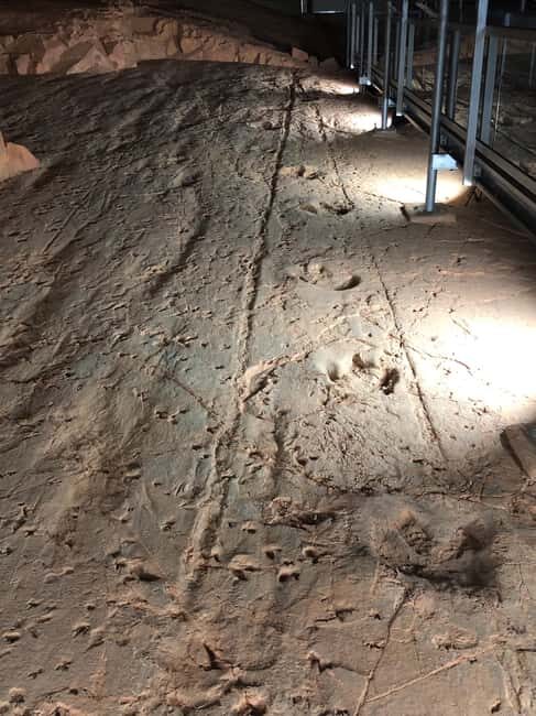 Dinosaur Stampede Half Day Tour - Dino Dash - In-Depth Review of the Dinosaur Stampede Half Day Tour – Dino Dash