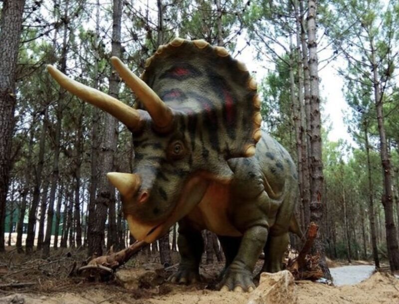Dinosaurs Park - Family Half day tour - Who Is This Tour Best Suited For?