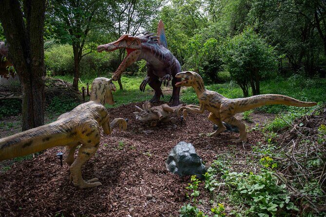 Dinosaurus amusement park - best dino experience in Prague - A Closer Look at Dinosaurus Amusement Park