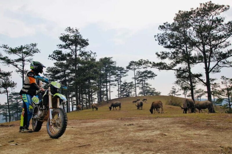 Dirt Bike Guided Tour in Dalat's Highlands - Key Points