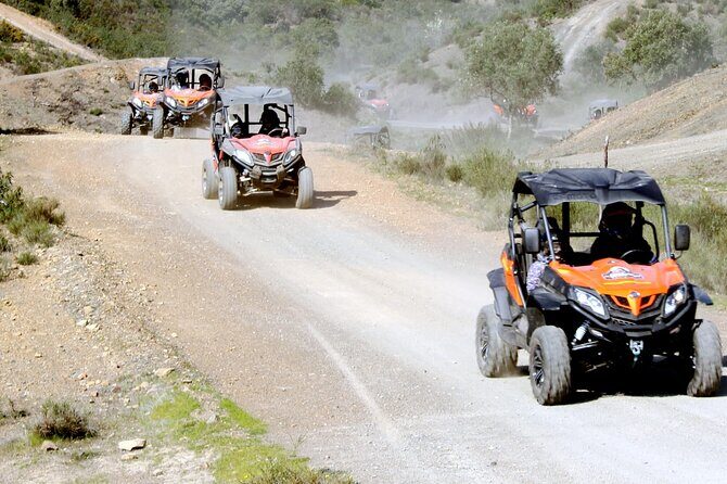 Dirt & Dust Buggy Tour - The Sum Up