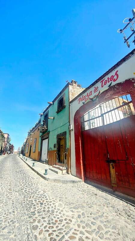 Discover and Explore San Miguel de Allende - Who Should Choose This Tour?