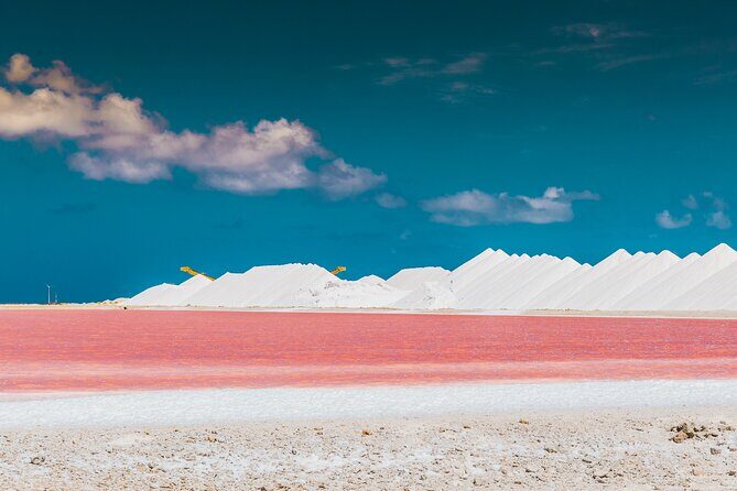 Discover and Explore the Salt Works and Slave Huts in Bonaire - Key Points