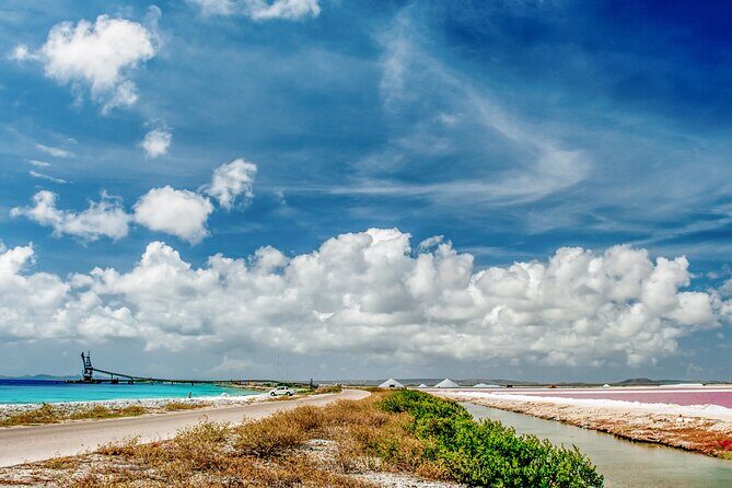 Discover and Explore the Salt Works and Slave Huts in Bonaire - Final Thoughts: Who Should Book This?