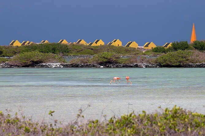 Discover and Explore the Salt Works and Slave Huts in Bonaire - Frequently Asked Questions