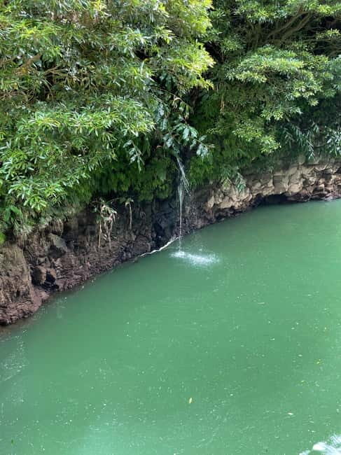 Discover and Hike São Miguel with Rúben - An Intimate Introduction to São Miguel’s Hidden Corners