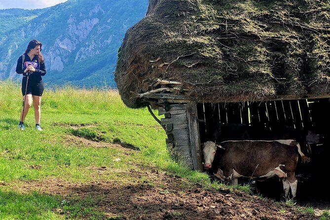 Discover Apuseni Mountains - Scarita Summit,Sipote Waterfall and Dumesti Village - Who Should Consider This Tour?