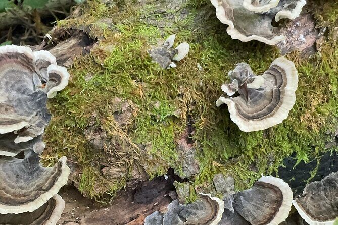 Discover Aurora Illinois Hiking Getaway - Frequently Asked Questions