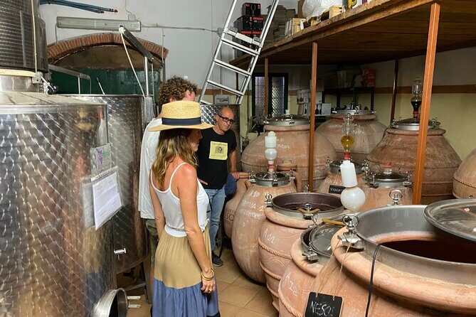 Discover Authentic Flavors of Elba Island: Winery Tour & Tasting - An In-Depth Look at the Tour Experience