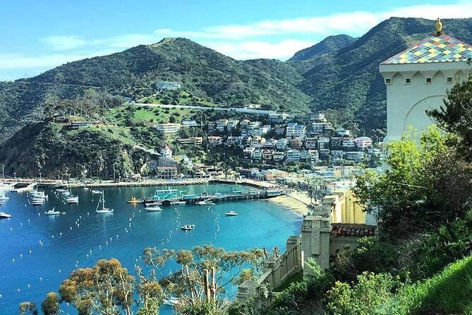 Discover Avalon: Catalina Scenic Tour - Discover Avalon: Catalina Scenic Tour – A Perfect Introduction to Catalina Island