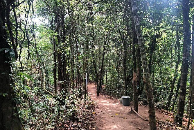 Discover Bali Your Way With Aman Bali Driver - Who Will Love This Tour?