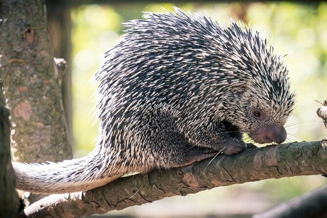 Discover Barra de Potosí - An In-Depth Look at Discover Barra de Potosí