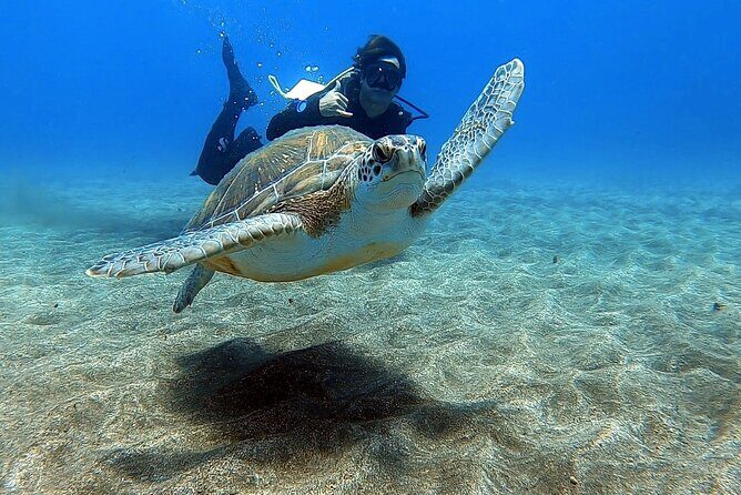 Discover beginner diving in Tenerife - A Deep Dive into the Tenerife Beginner Diving Tour