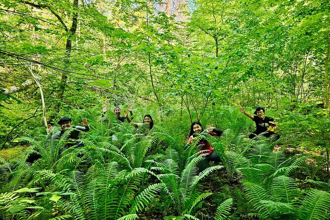 Discover Best Of Gauja National Park In One Day - In-Depth Review of the Gauja National Park Tour