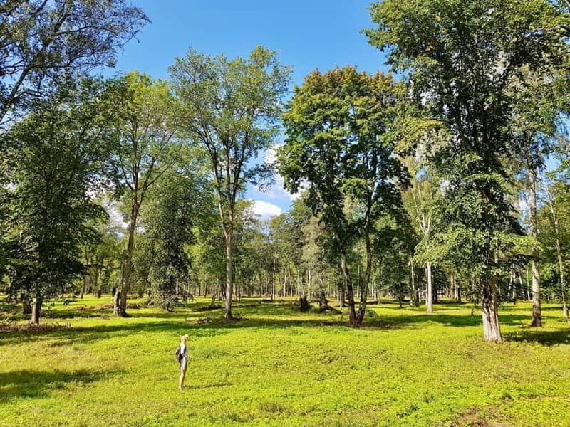 Discover Best of Sigulda and Gauja National Park In One Day - Discover the Best of Sigulda and Gauja National Park in One Day