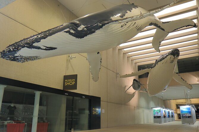 Discover Brisbane - Cultural - A Detailed Review of the Discover Brisbane - Cultural Tour