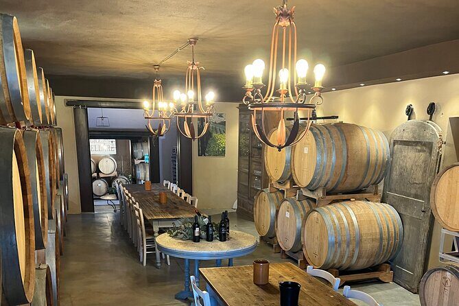 Discover Brunello Wines with DiWine Experience - The Experience in Detail